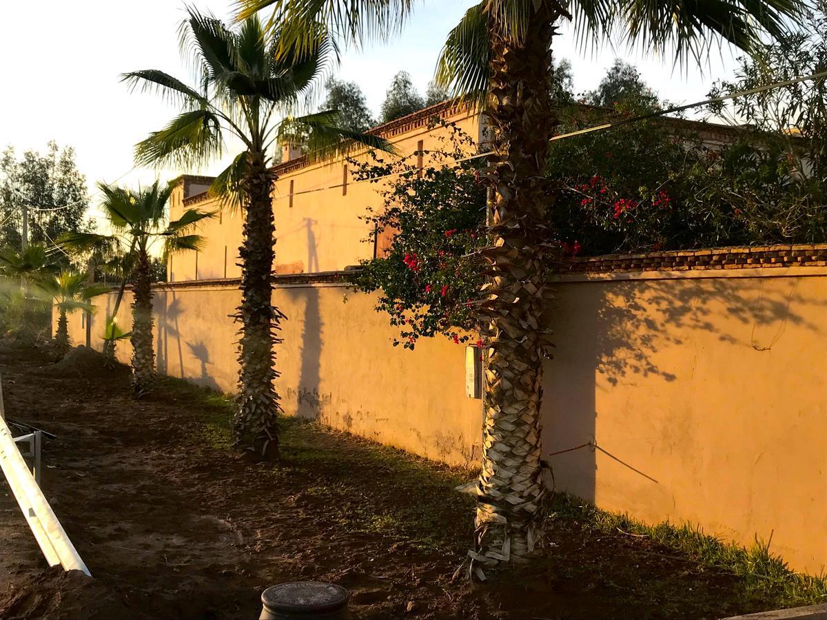 Palais Souad Villa Marrakesh Exteriör bild